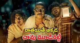 Gut Health: జీర్ణ సమస్యలా ? ఈ టిప్స్ ట్రై చేయండి