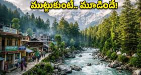 Scalp Infections: ఎక్కువగా జుట్టు రాలుతోందా ? స్కాల్ప్ ఇన్ఫెక్షన్లు కారణం కావొచ్చు