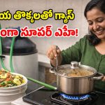 Kitchen Waste Biogas: ఏడేళ్లుగా నో సిలిండర్.. వంటింటి చెత్తతో గ్యాస్.. ఇన్నాళ్లు ఎక్కడ దాచారయ్యా!