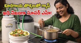 Mangli Controversy: మంగ్లీకి ‘మైక్రో’ సెగ! సింగర్ పేరుతో కోట్లలో వసూళ్లు..అసలు గుట్టు ఇదేనా!