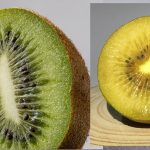 Kiwi Fruits: ఆకుపచ్చ కివీ లేదా గోల్డెన్ కివీ… ఈ రెండింటిలో ఏది తింటే మంచిది?