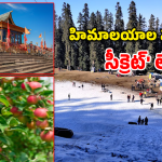 Kotgarh Tourism: పాండవులు వంట చేసిన ప్రదేశం ఇక్కడే ఉందా? కోట్‌గఢ్ చారిత్రక రహస్యాలు ఇవే!