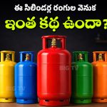 LPG Gas Cylinder: వంట గ్యాస్ సిలిండర్లు రెడ్ కలర్‌లోనే ఎందుకు ఉంటాయి? మిగతా రంగుల సిలిండర్లు దేనికి వాడతారు?