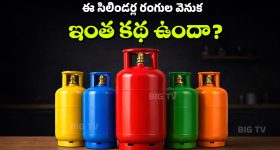 LPG Gas Cylinder: వంట గ్యాస్ సిలిండర్లు రెడ్ కలర్‌లోనే ఎందుకు ఉంటాయి? మిగతా రంగుల సిలిండర్లు దేనికి వాడతారు?