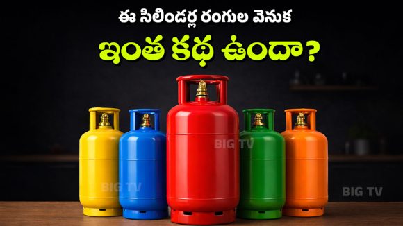 LPG Gas Cylinder: వంట గ్యాస్ సిలిండర్లు రెడ్ కలర్‌లోనే ఎందుకు ఉంటాయి? మిగతా రంగుల సిలిండర్లు దేనికి వాడతారు?