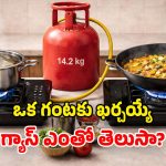 LPG Gas: గంటపాటు వంట చేస్తే.. ఖర్చయ్యే LPG ఎంత? గ్యాస్ ఆదాకు ఏ బర్నర్ బెస్ట్!