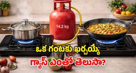 PMFBY Insurance Claim: పంట నష్టం జరిగితే ఏం చేయాలి?.. 72 గంటల రూల్ తెలుసా?
