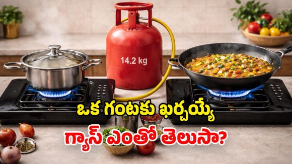 LPG Gas: గంటపాటు వంట చేస్తే.. ఖర్చయ్యే LPG ఎంత? గ్యాస్ ఆదాకు ఏ బర్నర్ బెస్ట్!