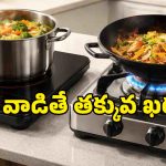 LPG Gas vs Induction: కాస్త తెలివిగా ప్లాన్ చేస్తే.. నెలకు రూ.1000 వరకు వంట ఖర్చు మిగుల్చుకోవచ్చు!