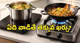 LPG Gas vs Induction: కాస్త తెలివిగా ప్లాన్ చేస్తే.. నెలకు రూ.1000 వరకు వంట ఖర్చు మిగుల్చుకోవచ్చు!