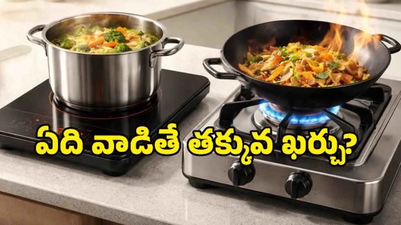 LPG Gas vs Induction: కాస్త తెలివిగా ప్లాన్ చేస్తే.. నెలకు రూ.1000 వరకు వంట ఖర్చు మిగుల్చుకోవచ్చు!