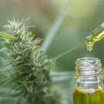 Liquid Ganja: మత్తు మాఫియా మైండ్ గేమ్.. స్కూల్ బ్యాగుల్లో రూ.1.43 కోట్ల గంజాయి