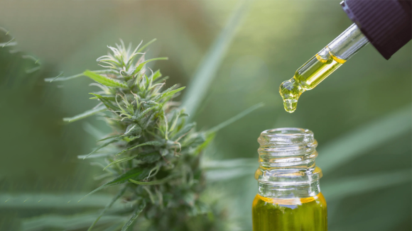 Liquid Ganja: మత్తు మాఫియా మైండ్ గేమ్.. స్కూల్ బ్యాగుల్లో రూ.1.43 కోట్ల గంజాయి