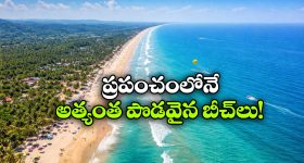 Longest Beaches: ప్రపంచంలో అత్యంత పొడవైన బీచ్ లు ఇవే, జీవితంలో ఒక్కసారైనా చూడాల్సిందే!