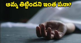 Bespoke AI Fridge: శాంసంగ్ 4 డోర్ల ఫ్రిడ్జ్.. కూలింగ్ ఒక్కటే కాదు.. చాలా మ్యాటర్ ఉంది!
