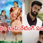 Telugu TV Serials: ఈ వారం టాప్ రేటింగ్ సీరియల్స్.. ఇంటింటి రామాయణం పరిస్థితి ఇదే..?