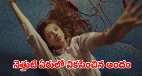 Fall in Love: విద్యార్థులూ ప్రేమలో పడండి.. ఆ యూనివర్శిటీ ప్రకటనపై అంతా షాక్, కారణం ఇదేనట!