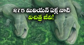 Adulterated Pickles: కుళ్లిన కూరగాయలతో 70 డ్రమ్ముల పచ్చళ్ళు.. అన్న తమ్ముడు అరెస్ట్..!