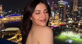 Mehreen Pirzada : పొట్టి గౌనులో పరువాల విందు చేస్తున్న మెహ్రీన్.. లుక్ అదుర్స్..
