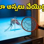 Mosquito Bat Risks: మస్కిటో బ్యాట్‌ను టీవీ దగ్గర పెడుతున్నారా? అయితే, మీరు కొత్త టీవీ కొనుక్కోవాల్సిందే, ఎందుకంటే?