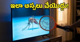 Mosquito Bat Risks: మస్కిటో బ్యాట్‌ను టీవీ దగ్గర పెడుతున్నారా? అయితే, మీరు కొత్త టీవీ కొనుక్కోవాల్సిందే, ఎందుకంటే?