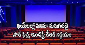 South Cinema: థియేటర్లలో సినిమా మనుగడ కోసం ఫిల్మ్ ఛాంబర్స్ కీలక నిర్ణయం! ఏంటంటే?