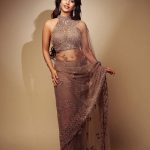 Nabha Natesh: ఉల్లిపొర లాంటి చీరలో అందాలు ఆరబోస్తున్న నభా నటేష్!