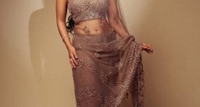 Nabha Natesh: ఉల్లిపొర లాంటి చీరలో అందాలు ఆరబోస్తున్న నభా నటేష్!