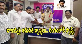 Nandamuri Balakrishna: అసెంబ్లీకి తాగి వస్తాడంటూ బాలయ్యపై అనుచిత వ్యాఖ్యలు.. కేసు నమోదు
