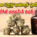 Nalgonda drugs: పోలీసులకే షాక్ ఇచ్చిన గంజాయి స్మగ్లర్ల ‘లేడీ గెటప్’ స్కెచ్.. చివరికి ఏమైందంటే?