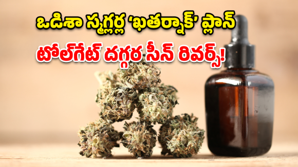 Nalgonda drugs: పోలీసులకే షాక్ ఇచ్చిన గంజాయి స్మగ్లర్ల ‘లేడీ గెటప్’ స్కెచ్.. చివరికి ఏమైందంటే?