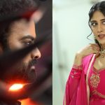 Chandini Chowdhary: పెళ్లికి సిద్ధమైన చాందినీ చౌదరి.. ఇందులో నిజం ఎంత..?