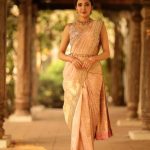 Nehashetty : పట్టు చీరలో మెరిసిన టిల్లు బ్యూటీ.. అబ్బా.. ఎంత అందంగా ఉందో..
