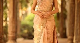 Nehashetty : పట్టు చీరలో మెరిసిన టిల్లు బ్యూటీ.. అబ్బా.. ఎంత అందంగా ఉందో..