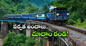 Nilgiri Mountain Train Ride: ఊటీ-మెట్టుపాళయం సమ్మర్ స్పెషల్ షురూ, నీలగిరి అందాలు చూసేయండి!