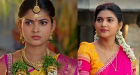 Nuvvu Leka Nenu lenu Radha : 'నువ్వు లేక నేను ' రాధ ఆస్తులు.. ఒక్కరోజు రెమ్యూనరేషన్..?