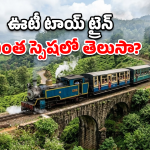 Ooty Toy Train: మేఘాలను తాకుతూ.. సొరంగాల్లోకి దూసుకెళ్తూ.. ఊటీ టాయ్ ట్రైన్‌లో ఎన్నో ప్రత్యేకతలు