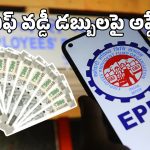 EPFO Interest Rate: ఈపీఎఫ్ వడ్డీ రేటులో మార్పుల్లేవ్.. డబ్బులు ఖాతాల్లో జమ ఎప్పుడంటే?