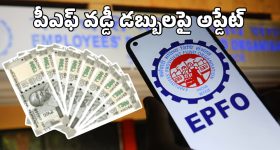 Mushroom Omelette: జిమ్ లవర్స్ కోసం హై ప్రోటీన్ మష్రూమ్ ఆమ్లెట్.. తక్కువ పదార్థాలతో ఇన్‌స్టంట్‌గా!