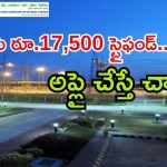 PGCIL Recruitment: పవర్‌గ్రిడ్‌లో ఉద్యోగాలు.. పరీక్ష లేకుండానే జాబ్ వచ్చే అవకాశం, ఈ క్వాలిఫికేషన్ ఉంటే చాలు