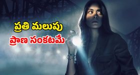 అసలు పవన్ కళ్యాణ్ ఎక్కడైనా కనిపిస్తున్నాడా? ఈసారి వచ్చేది జగనే! - దువ్వాడ మాధురి
