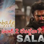 Hombale films: ప్రభాస్ కోసం హోంబలే ఫిల్మ్స్ కొత్త ప్రయోగం.. ఫలించేనా?