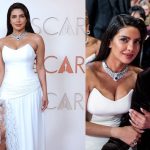 Priyanka Chopra: ఆస్కార్ అవార్డు వేడుకలో మెరిసిన ప్రియాంక చోప్రా.. ధరించిన నెక్లెస్ ఎన్ని కోట్లో తెలుసా?