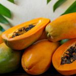 Papaya: బొప్పాయి పొడవుగా ఉన్నది కొనాలా? గుండ్రనిది కొనాలా? ఏది తియ్యగా ఉంటుంది?