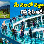 Pelling Travel: మేఘాల చాటున ఒక అందమైన లోకం.. ఈ వీకెండ్ ‘పెల్లింగ్’ వెళ్దామా?