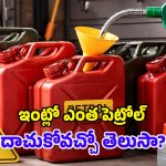 Petrol Storage Rules: ఇంట్లో ఎంత పెట్రోల్ నిల్వ చేయవచ్చు? లిమిట్ దాటితే పడే శిక్షలు ఏంటి?