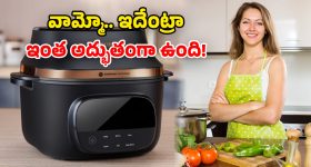 Philips OneChef: ఫిలిప్స్ సంచలనం.. అధునాతన కుక్కర్ వచ్చేసిందోచ్.. 33 స్టైల్స్‌లో వండుకోవచ్చు!