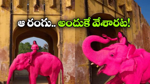 ఏనుగుకు గులాబీ రంగు.. ఇండియాలో విదేశీ ఫొటోగ్రాఫర్ చేసిన పనికి అంత షాక్!