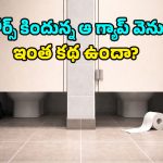 Public Toilets: మాల్స్, థియేటర్లలో టాయిలెట్ డోర్ల కింద ఆ గ్యాప్ ఎందుకో తెలుసా?