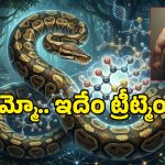 Python Blood Research: బరువు తగ్గించేందుకు.. కొండ చిలువ రక్తం, ఇదిగో ఇలా పనిచేస్తుందట!